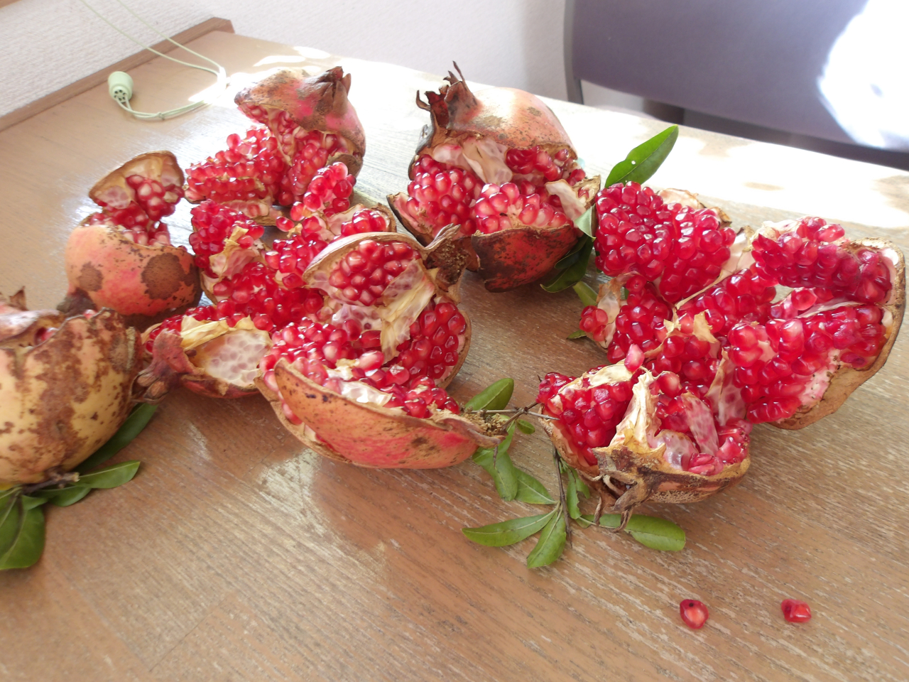 こでまり通信１１月号