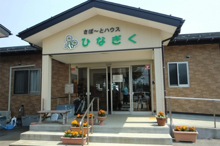 ひなぎく