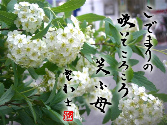こでまり 俳句